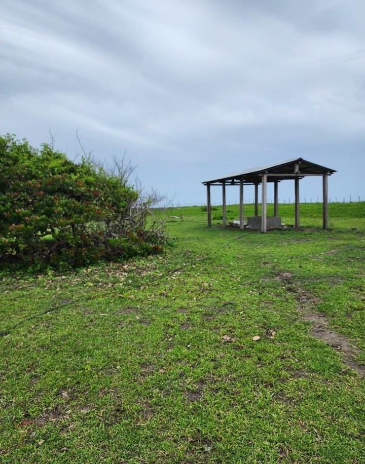 Listado imagen de la portada