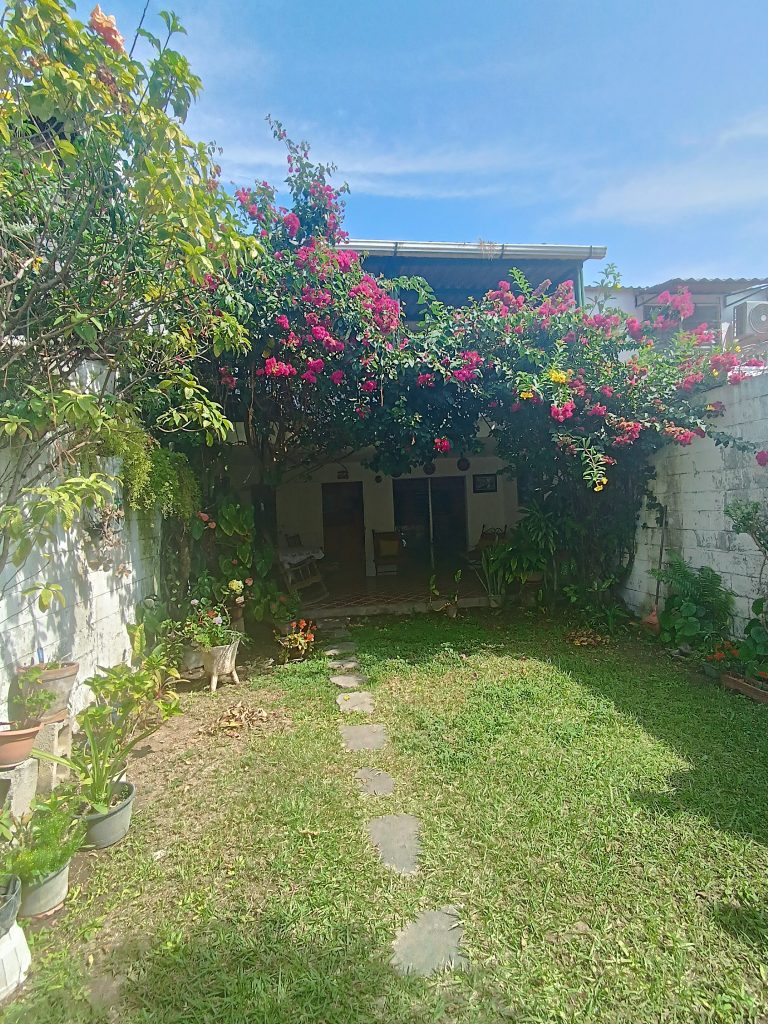 Listado imagen de la portada