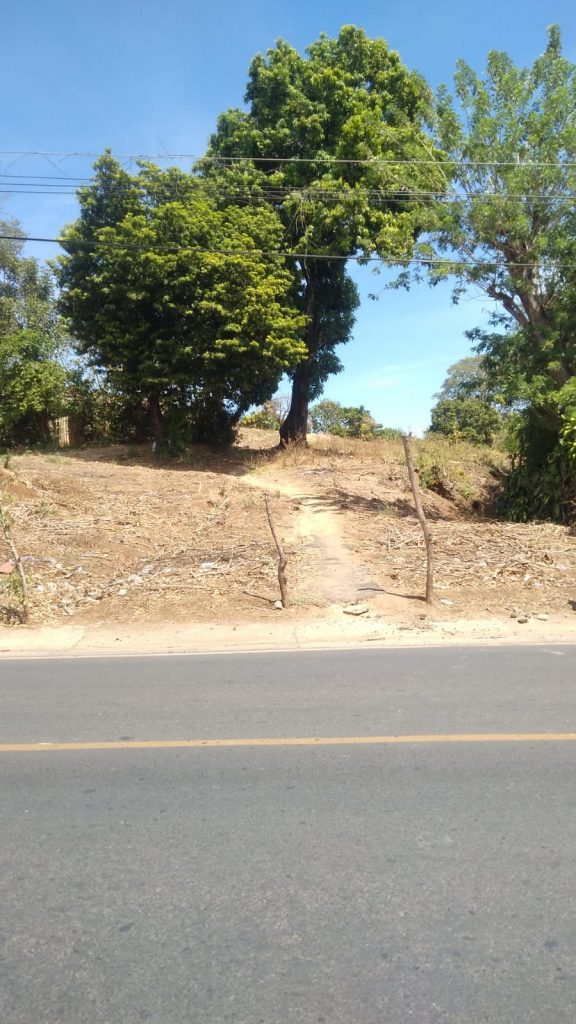 Listado imagen de la portada