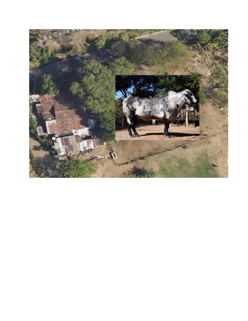 Listado imagen de la portada