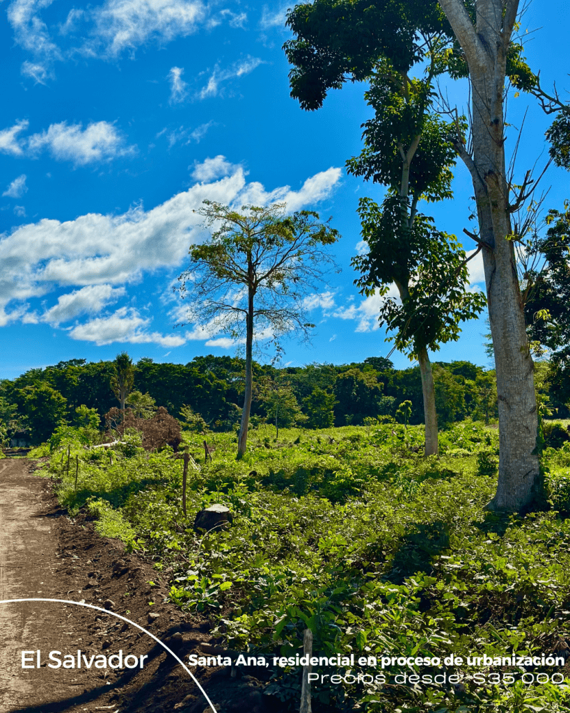 Listado imagen de la portada