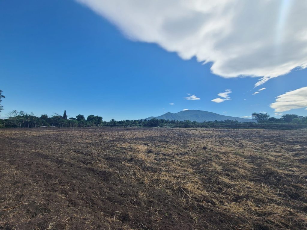 Listado imagen de la portada