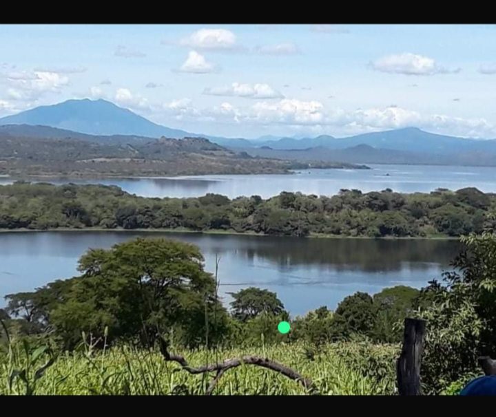 Listado imagen de la portada