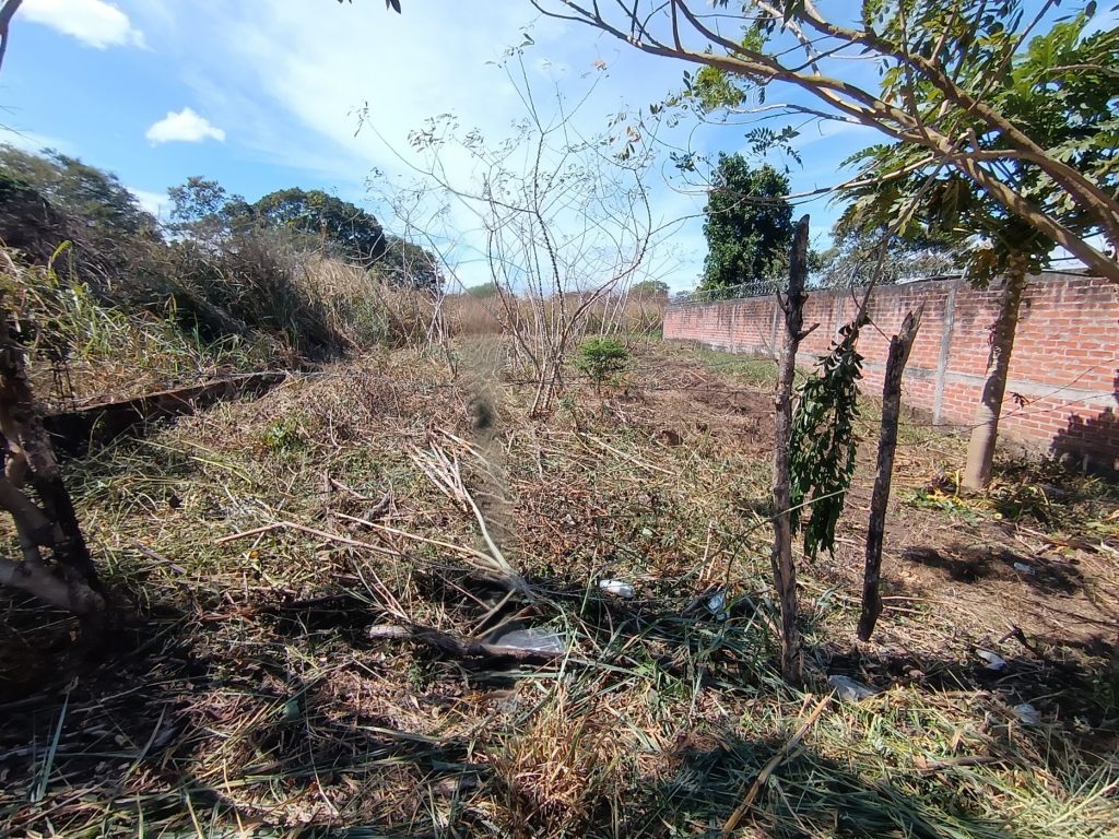 Listado imagen de la portada