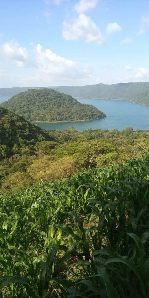 Listado imagen de la portada