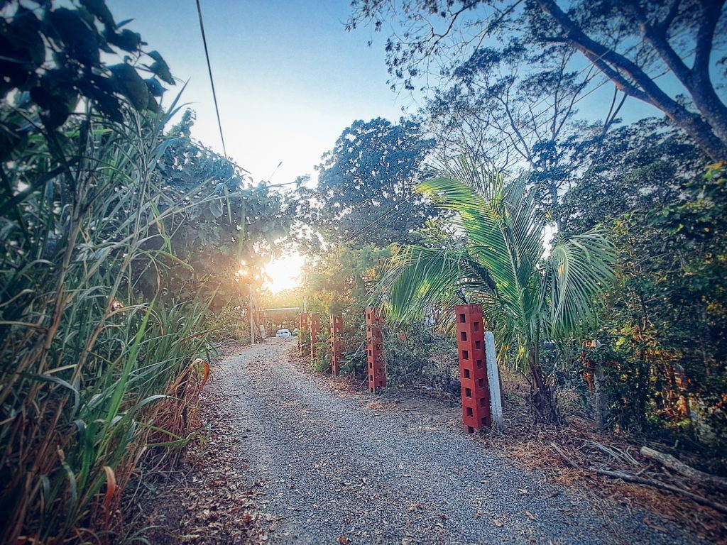 Listado imagen de la portada