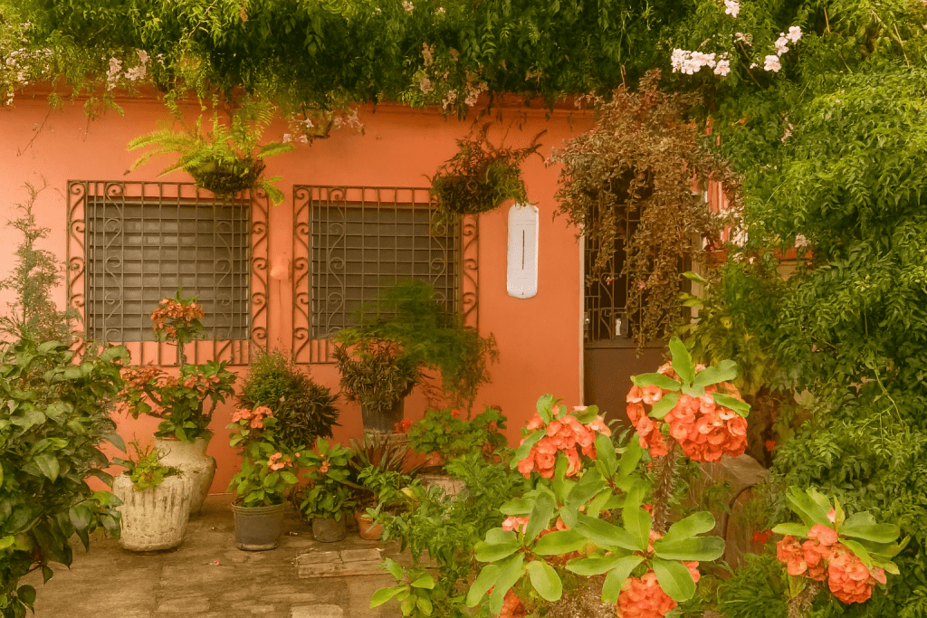 Listado imagen de la portada