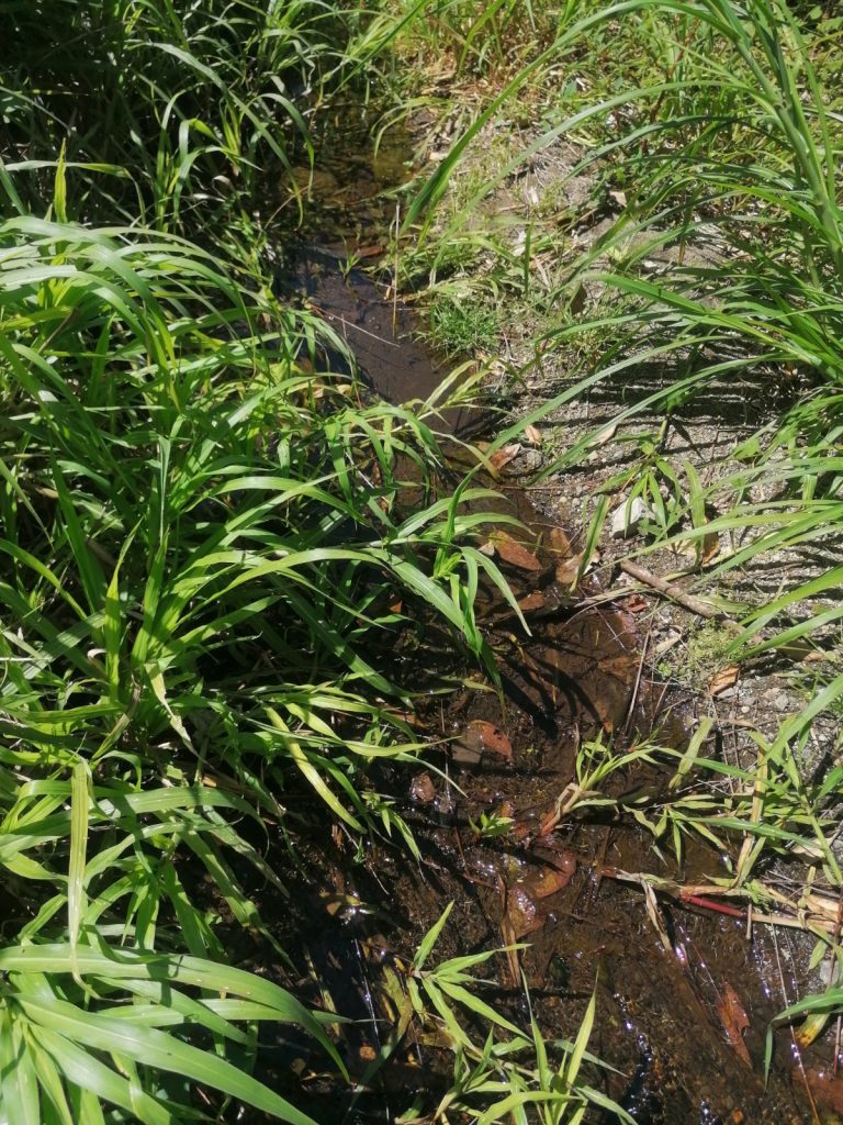 Listado imagen de la portada