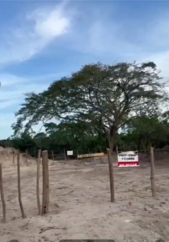 Listado imagen de la portada