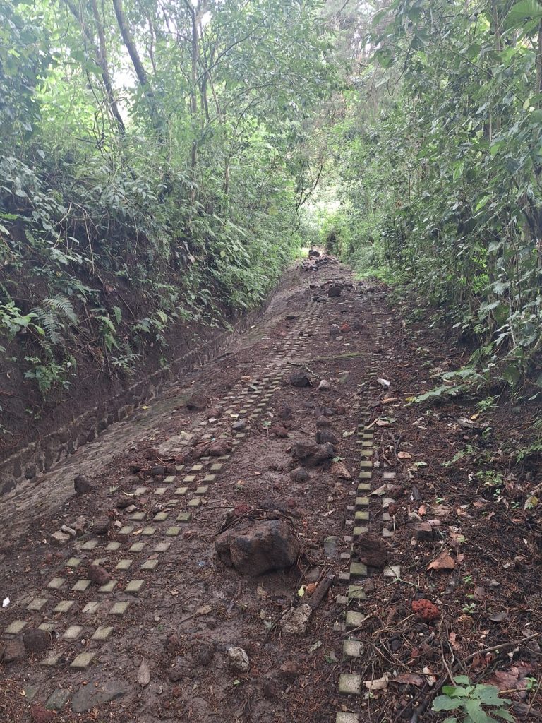 Listado imagen de la portada