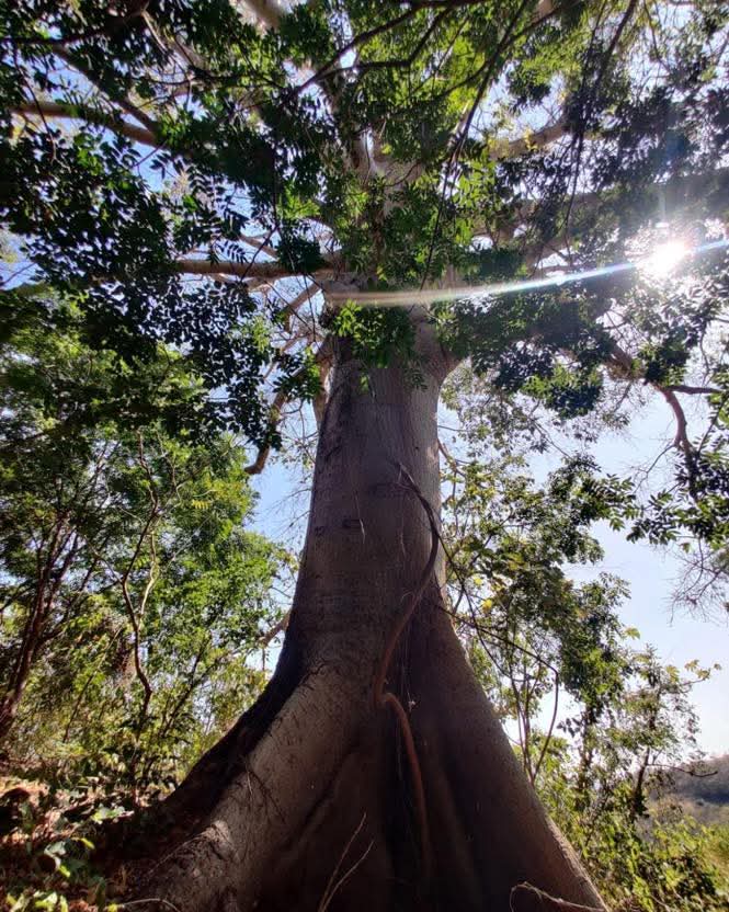 Listado imagen de la portada